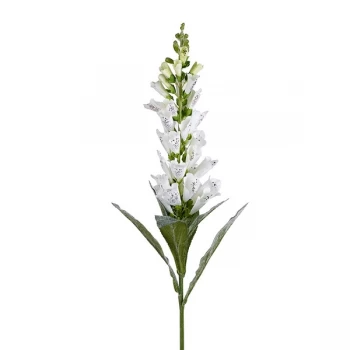 Image of White Fox Glove Flower