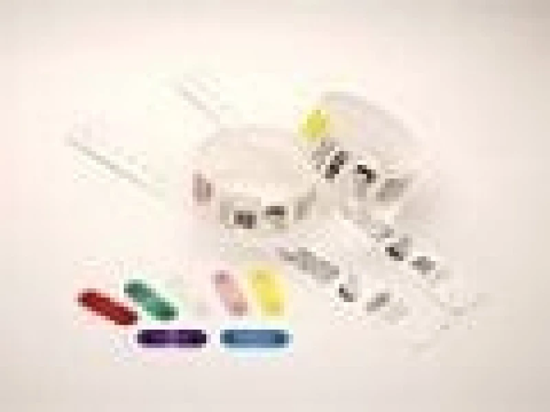 Image of Zebra Zebra Clips for use with QuickClip Wristbands Yellow 97032-YELLOW