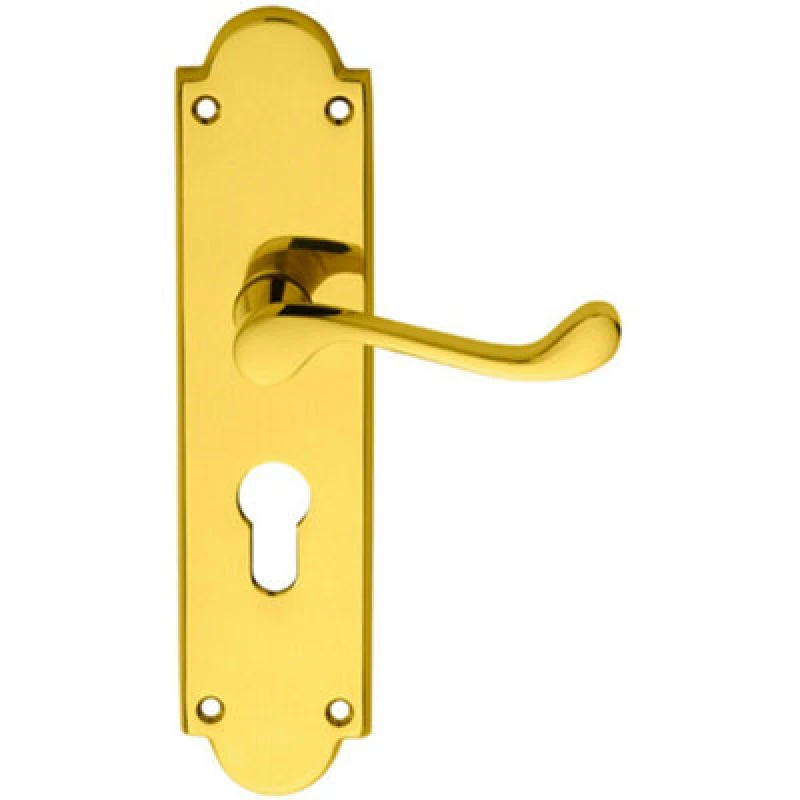 Image of Loops PAIR Victorian Scroll Lever on Euro Lock Backplate 205 x 49mm Polished Brass Metallics