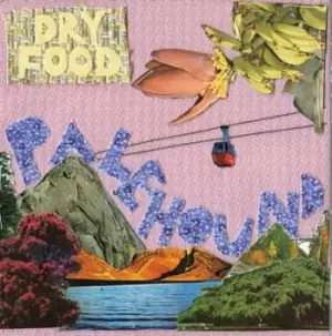 Image of Palehound - Dry Food CD Album - Used