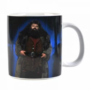 Image of Harry Potter - Hagrid Giant Mug