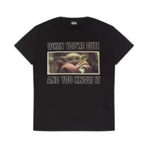 Image of Star Wars: The Mandalorian Womens/Ladies The Child Cute Boyfriend T-Shirt (XL) (Black)