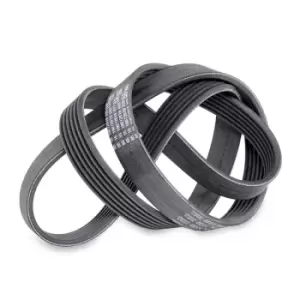 Image of CONTITECH V-ribbed belt 4PK811 ELAST Serpentine belt,Auxiliary belt BMW,3 Touring (E91),3 Limousine (E90),3 Coupe (E92),3 Cabrio (E93)