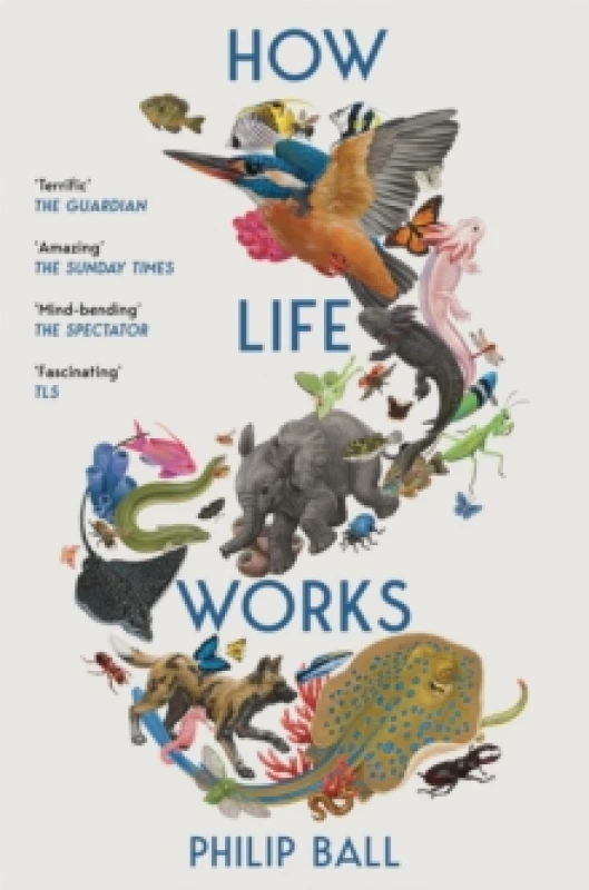 Image of How Life Works : A Users Guide to the New Biology Paperback / softback