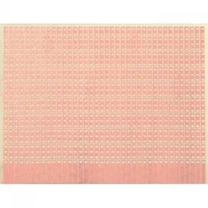 Image of WR Rademacher VK C-904-1-EP Laboratory Card Epoxy 100 x 80 x 1.5 m...