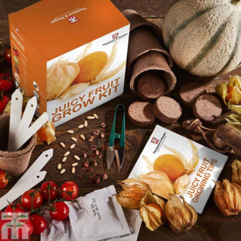 Image of Thompson & Morgan Seed Growing Kit - Juicy Fruits