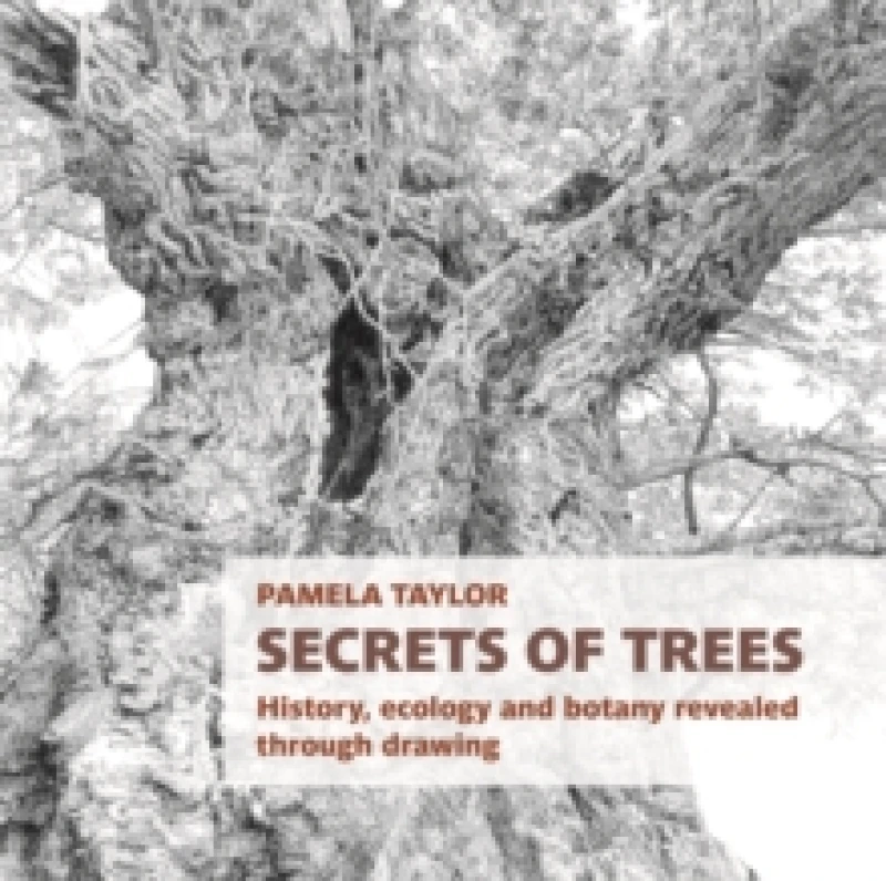 Image of Secrets of Trees : History, ecology and botany revealed through drawing Paperback / softback