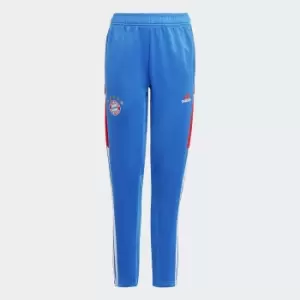Image of FC Bayern Joggers