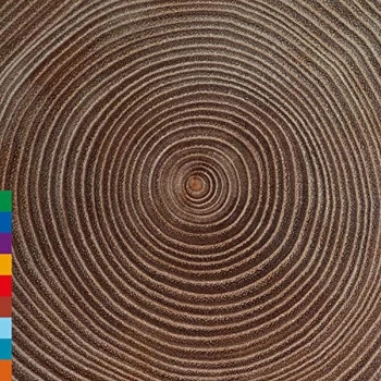 Image of Amjad Ali Khan - Moksha CD