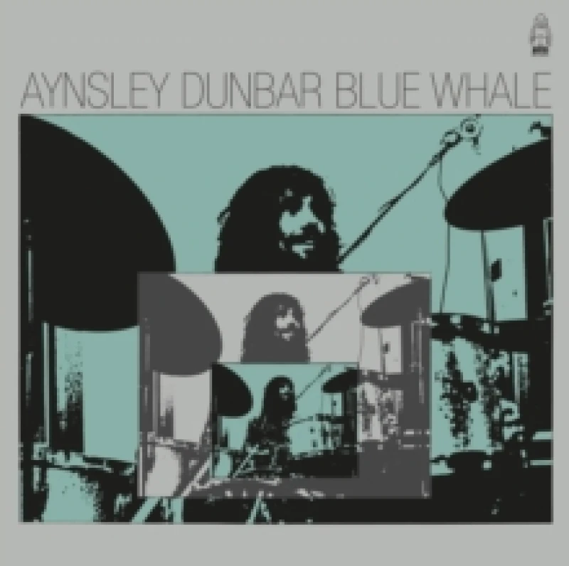 Image of Blue Whale Vinyl
