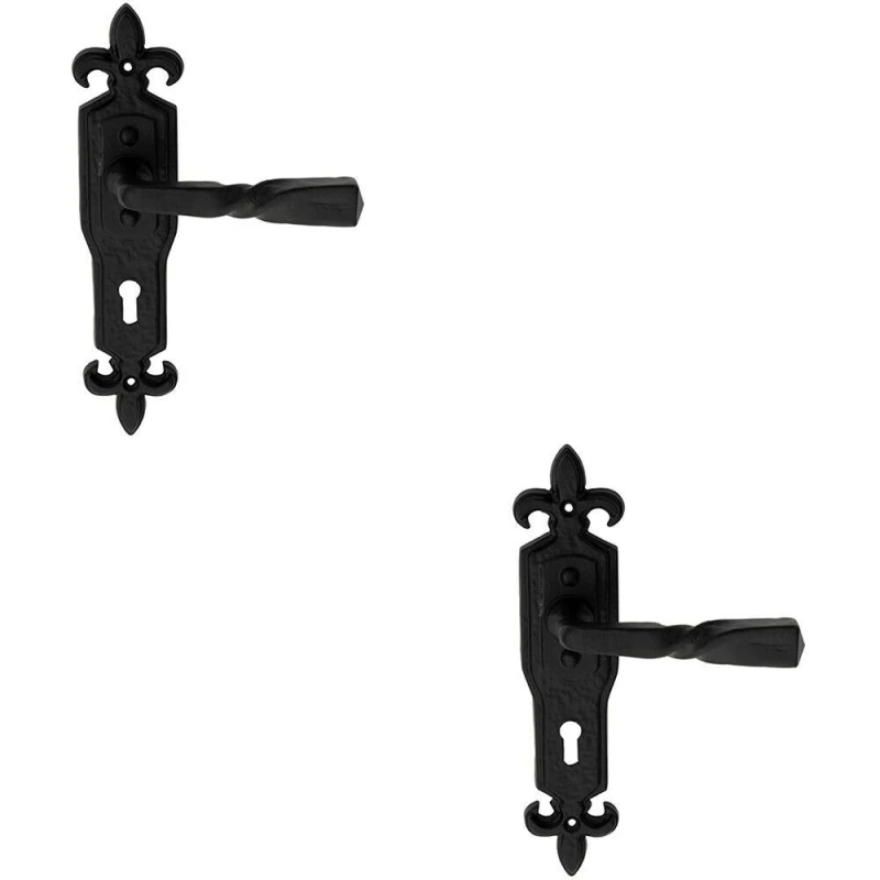 Image of Loops 2x PAIR Forged Twisted Ornate Lever on Lock Backplate 226 x 50mm Black Antique Black