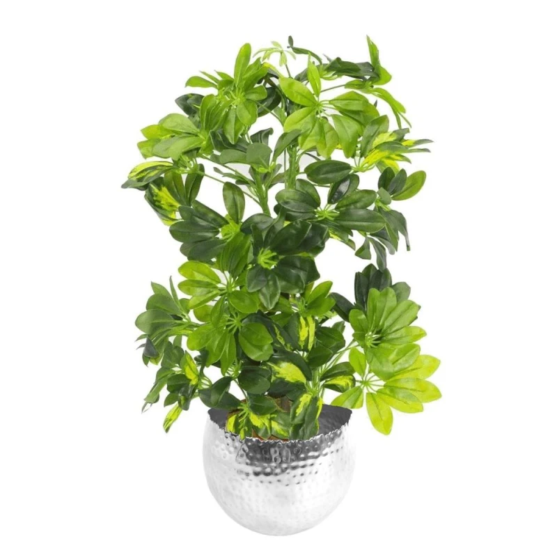 Image of Leaf 75cm Artificial Arboricola Gold Capella Plant - Silver Metal Planter Green