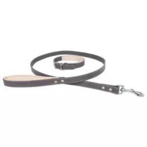 Image of Banbury and Co Luxury Dog Collar and Lead Set