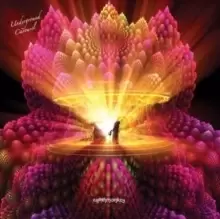 Image of Underground Carousel