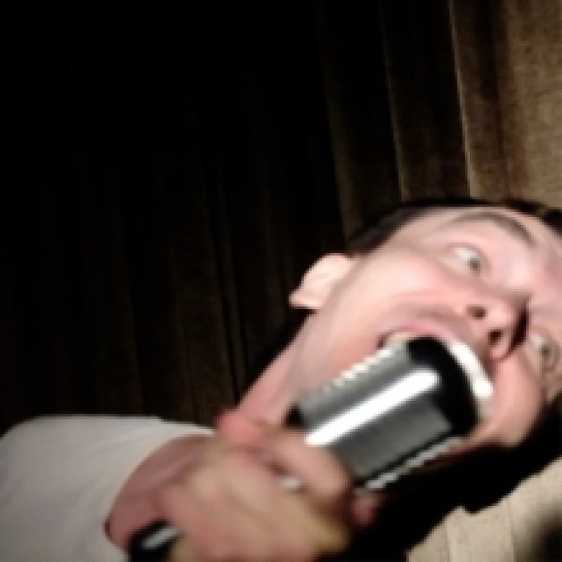 Image of And the voice said Vinyl