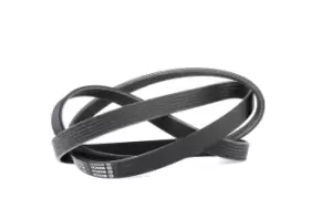 Image of Bosch V-ribbed belt 1 987 947 979 Serpentine belt,Auxiliary belt AUDI,FORD,RENAULT,80 Limousine (8C2, B4),Cabriolet (8G7, B4),A8 (4D2, 4D8)