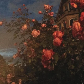 Image of John Bence - Love Vinyl