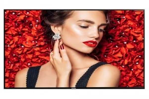 Image of Philips 43BDL4031D 43" FHD Display