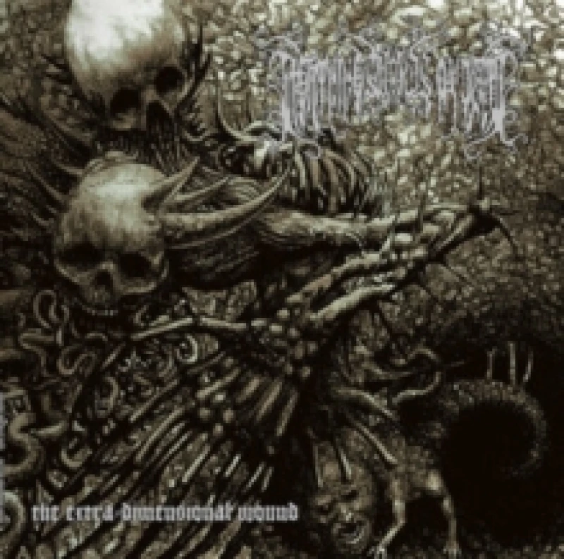 Image of The Extra Dimensional Wound Vinyl