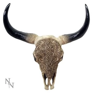 Image of First Nation Buffalo Skull