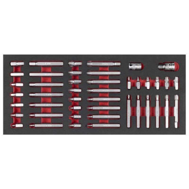 Image of Sealey Premier 44 Piece 10mm Hex Shank Screwdriver Bit Set in Module Tray TBT60