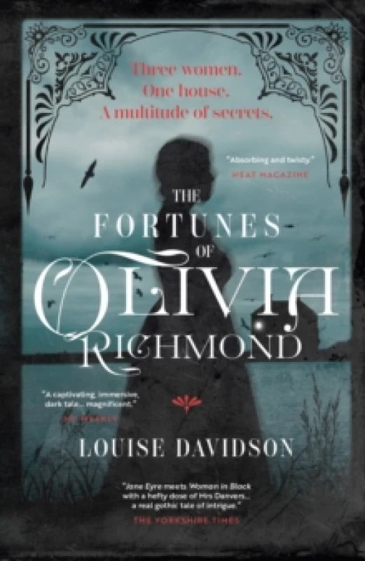 Image of The Fortunes Of Olivia Richmond Paperback / softback