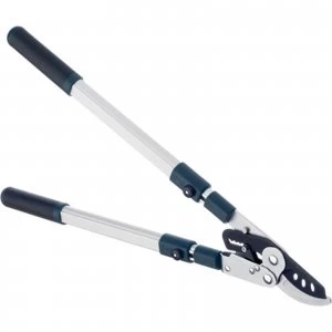 Image of Bulldog Evergreen Extendable Bypass Loppers
