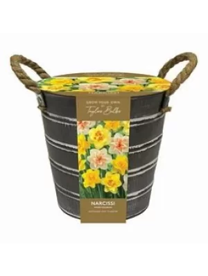 Image of Outdoor Narcissi Bucket