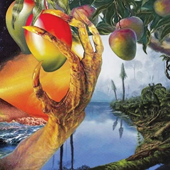 Image of Timelash - A MORPHOLOGY OF WONDERS Vinyl