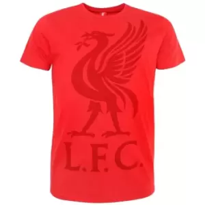 Image of Liverpool FC Mens Liver Bird T-Shirt (M) (Red)