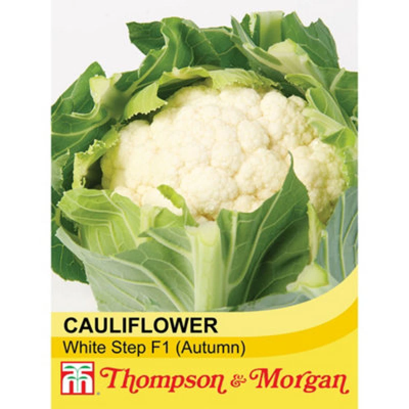 Image of Thompson & Morgan Cauliflower White Step F1 Hybrid 1 Seed Packet (30 Seeds)