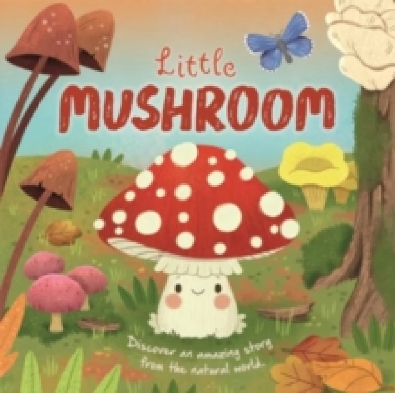 Image of Little Mushroom Board book
