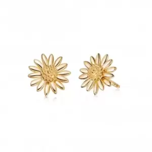 Image of Bellis Daisy Stud 18ct Gold Plated Earrings E2005_GP