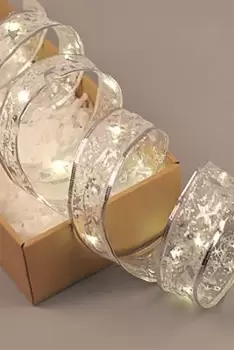 Image of LED Ribbon Shape Fairy Lights - Warm White 1 Length