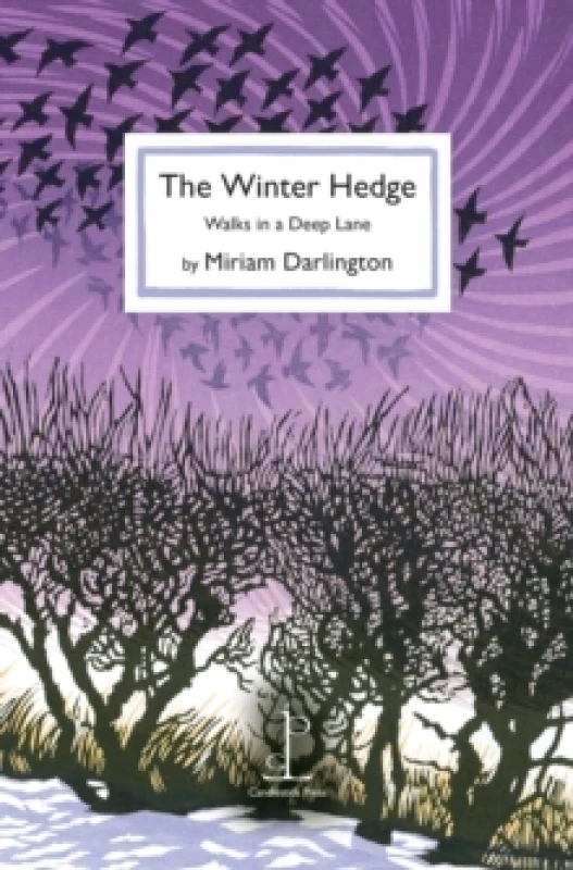 Image of The Winter Hedge : Walks in a Deep Lane Paperback / softback