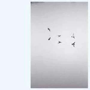 Image of Kirk Barley - Landscapes Vinyl