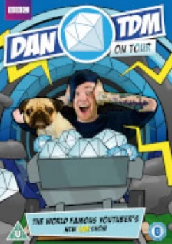 Image of DanTDM On Tour