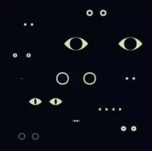 Image of Christina Bjorkoe: Animal Universe