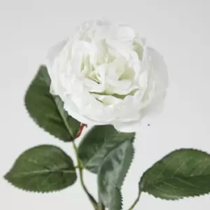 Image of Crossland Grove Rose Stem White (6Pk) 770Mm