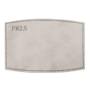 Image of Premier PM 2.5 Carbon Filter Pads (Pack of 10) (One Size) (White)