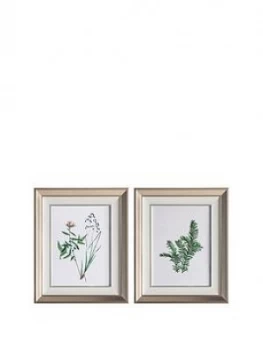 Image of Gallery Set 2 Botanical Spring Framed Art