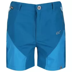 Image of Regatta Boys & Girls Sorcer Mountain Water Repellent Shorts 3-4 Years - Waist 53-54cm (Height 98-104cm)
