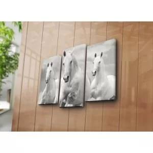 Image of 3PATK-66 Multicolor Decorative Canvas Painting (3 Pieces)