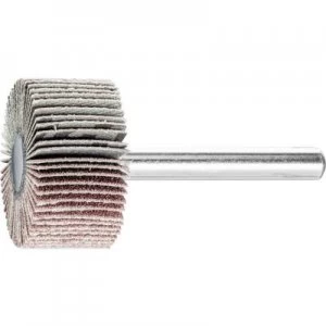 Image of PFERD 44409126 HORSE fan-grinding shaft-o 6mm corundum A 120 Diameter 30 mm 10 pc(s)