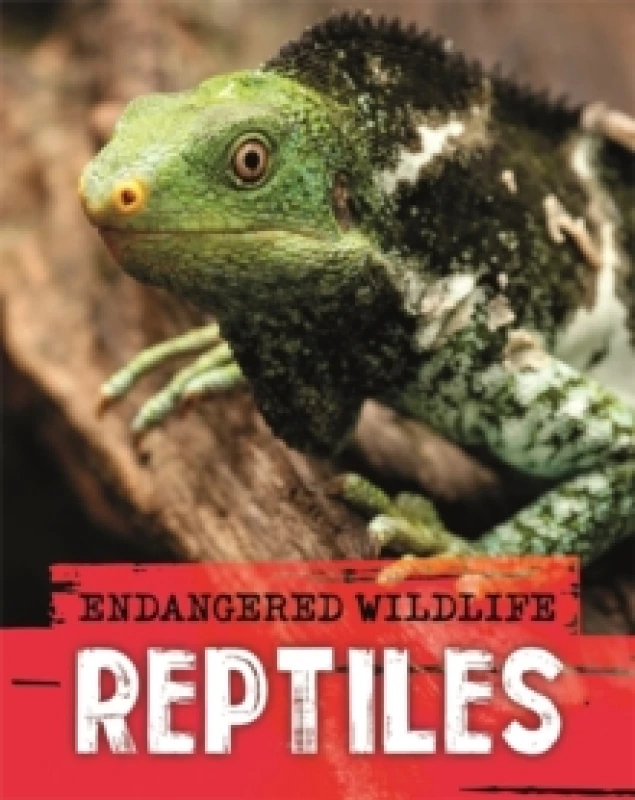 Image of Anita Ganeri Endangered Wildlife: Rescuing Reptiles Book Multi unisex