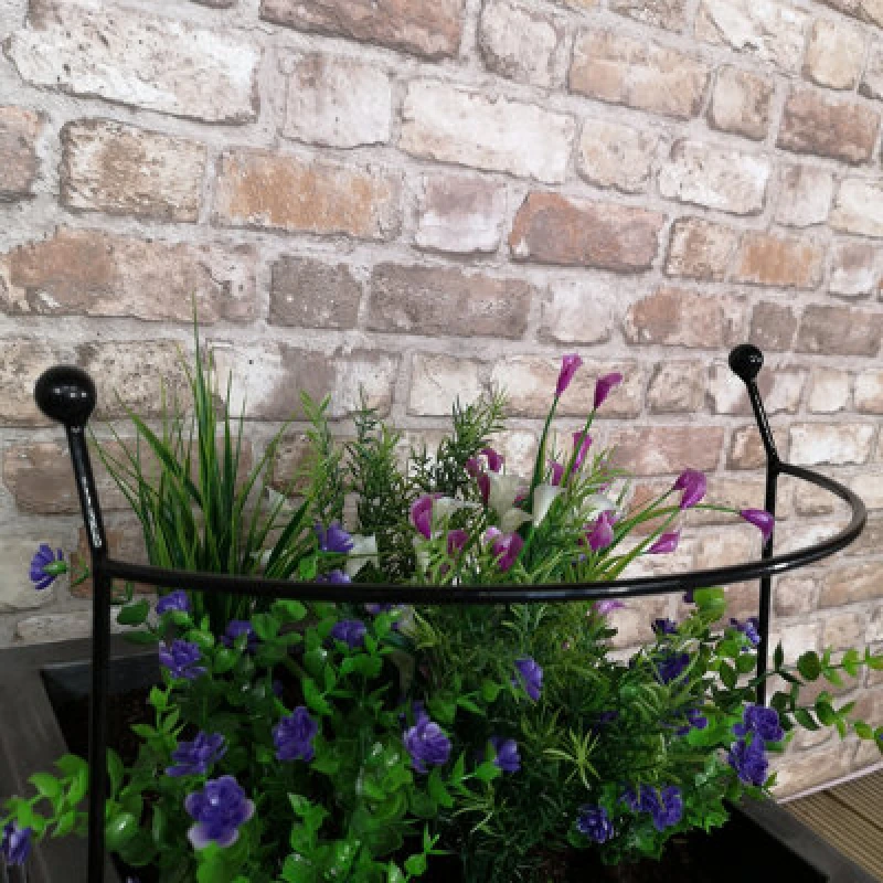 Image of Samuel Alexander Cottage Heavy Duty Black Metal Steel Herbaceous Garden Plant Support Arc Small 60Cm X 36Cm