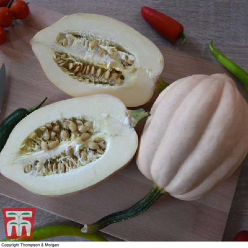 Image of Thompson & Morgan Winter Squash Baked Potatoes 1 Packet (12 Seeds)