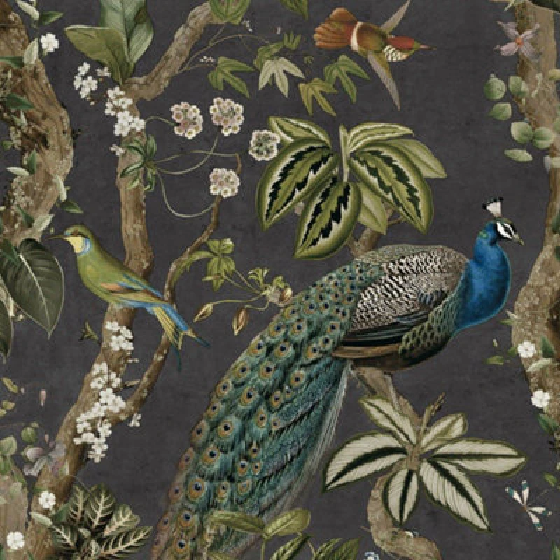 Image of Holden Decor Peacock Woods Tropical Floral Jungle Exotic Birds Wallpaper Charcoal