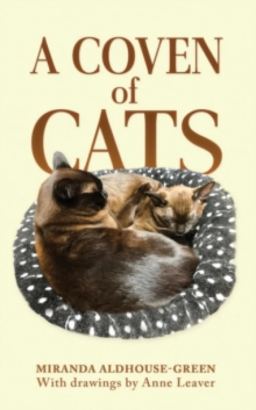 Image of A Coven of Cats. Paperback. By Miranda J AldhouseGreen Books