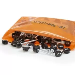 Image of Corrapol Red Roofing Screw (L)950mm